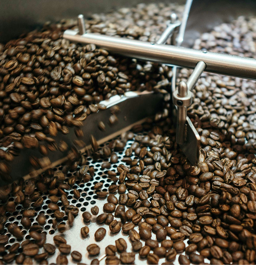 specialty-coffee-beans-roasting-b12-wholesale
