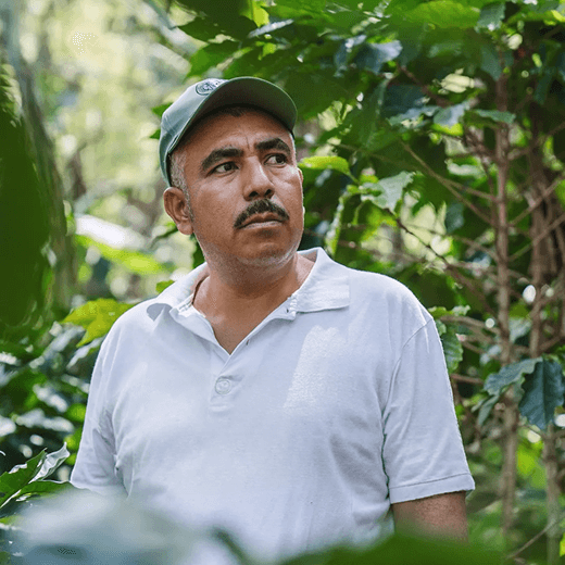 guatemala-coffee-farmer-jaime-sanchez