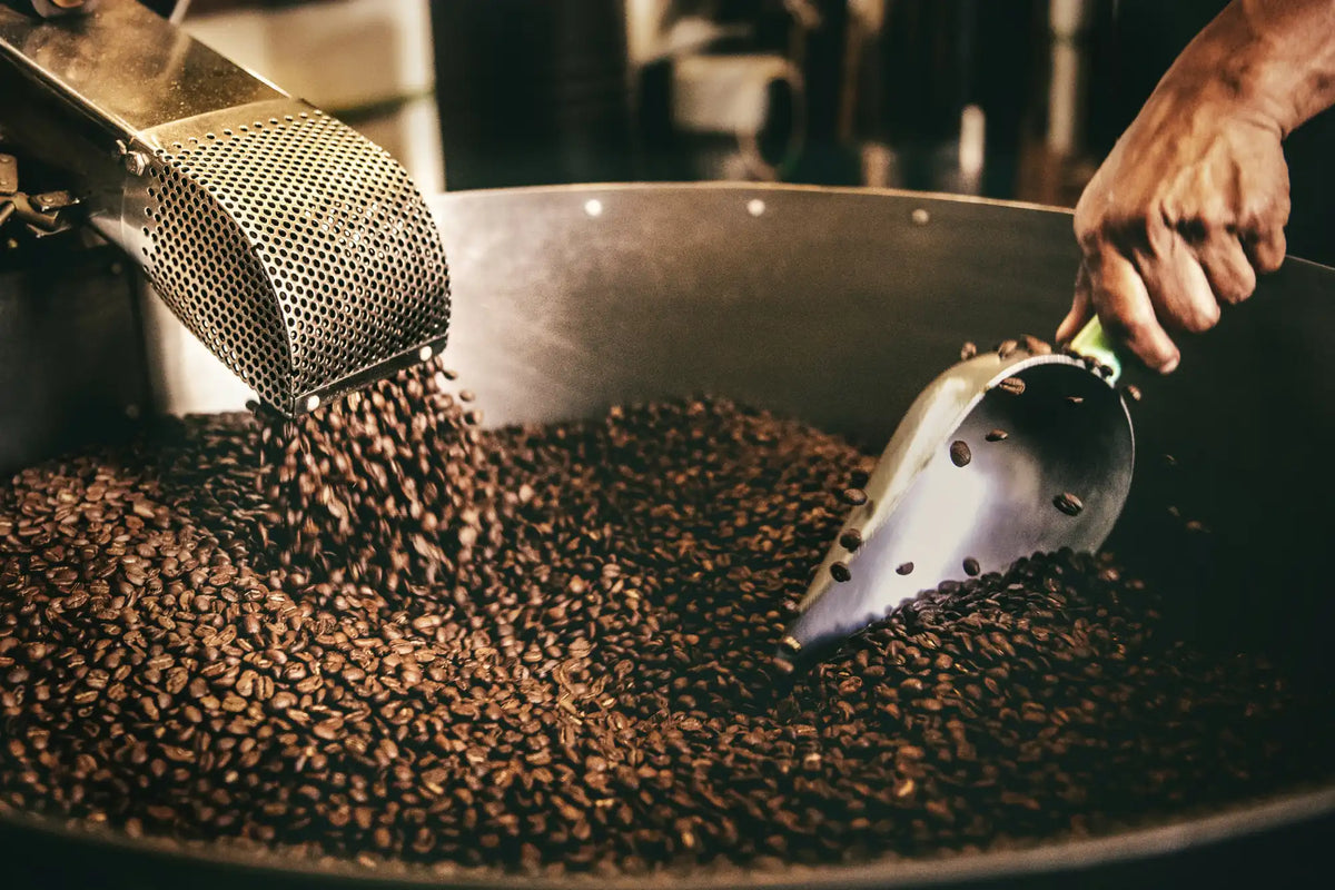 precision-coffee-roasting-process