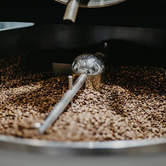 freshly-roasted-coffee-beans-quality